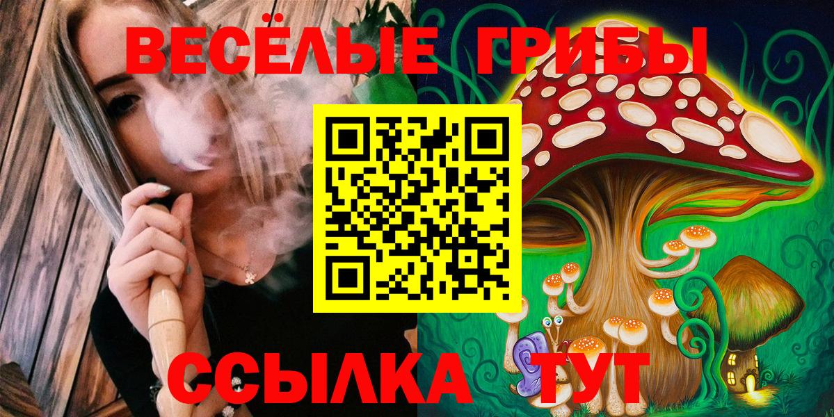 Галлюциногенные грибы прущие грибы Котельники