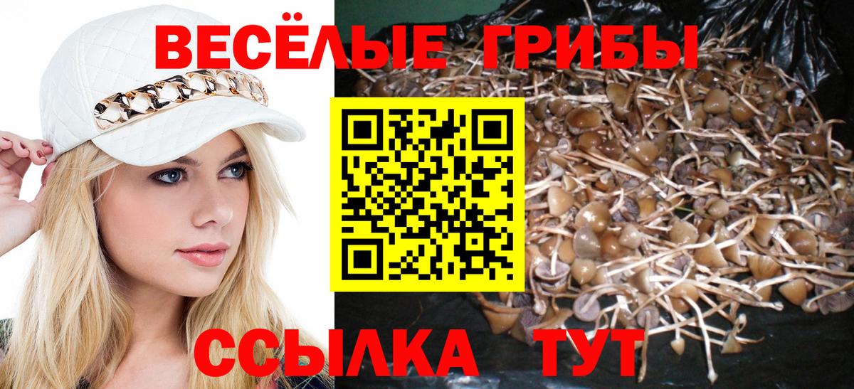 Котельники  Галлюциногенные грибы GOLDEN TEACHER  Вход с VPN  Галлюциногенные грибы Psilocybe 